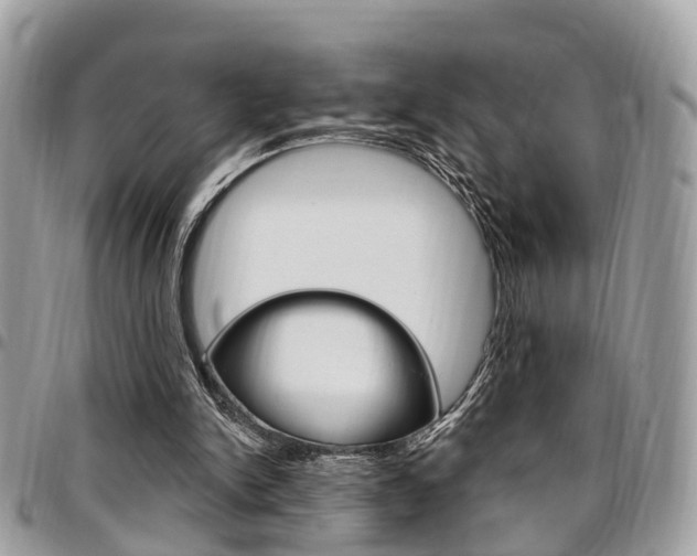 X0000096970150200802080931