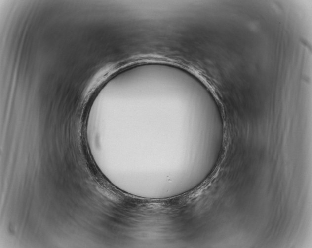 X0000096970151200802080931