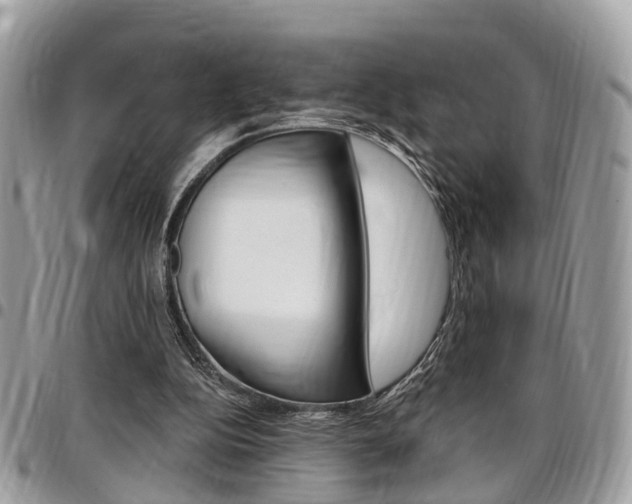 X0000096970152200802080931