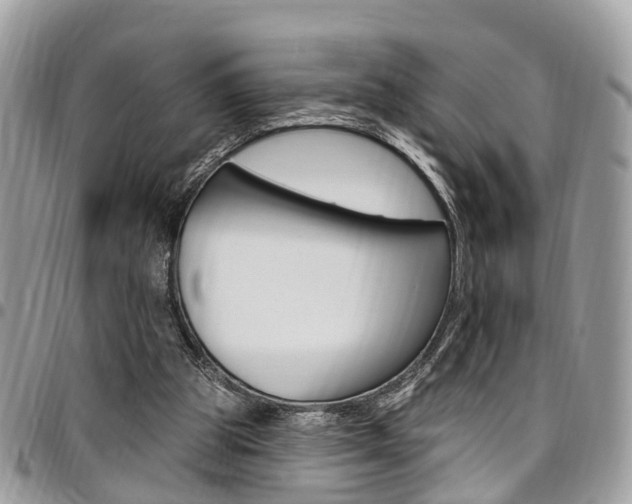 X0000096970153200802080931