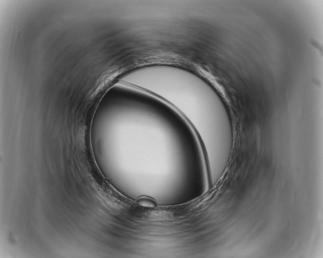 X0000096970154200802080931
