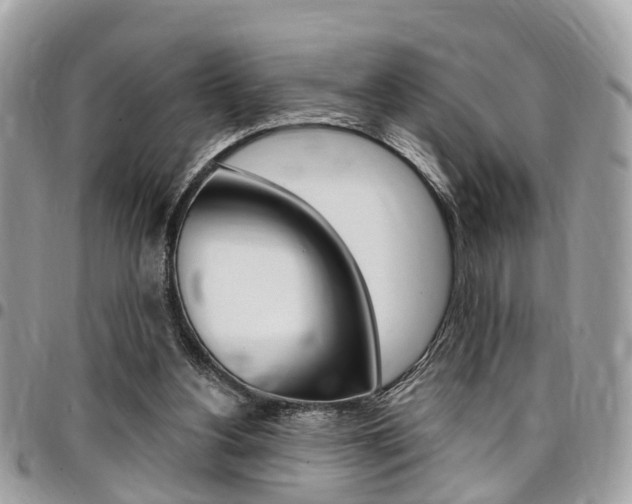 X0000096970156200802080931