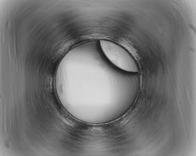X0000096970157200802080931