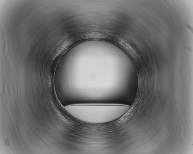 X0000096970158200802080931