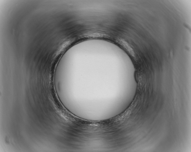X0000096970159200802080931
