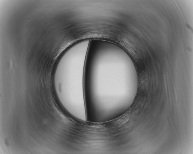 X0000096970160200802080931