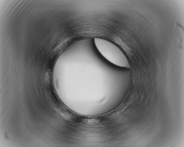 X0000096970165200802080931