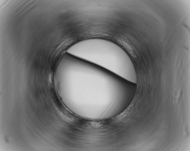X0000096970166200802080931