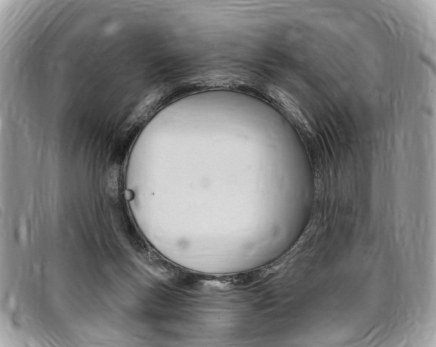 X0000096970167200802080931