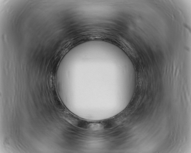 X0000096970169200802080931