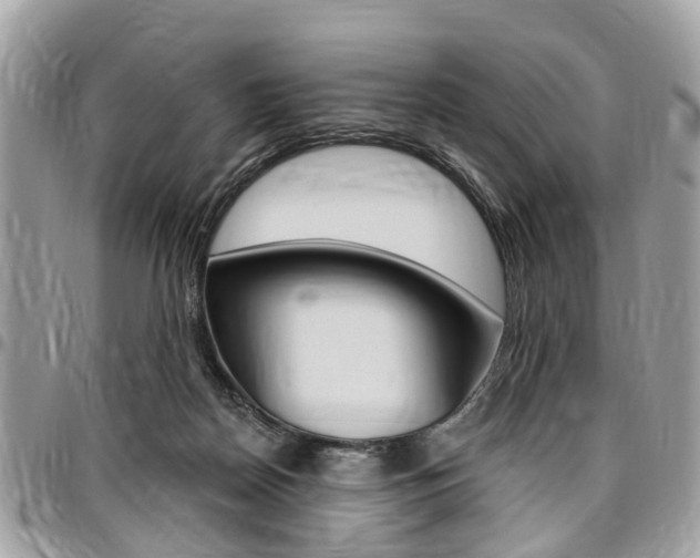 X0000096970170200802080931