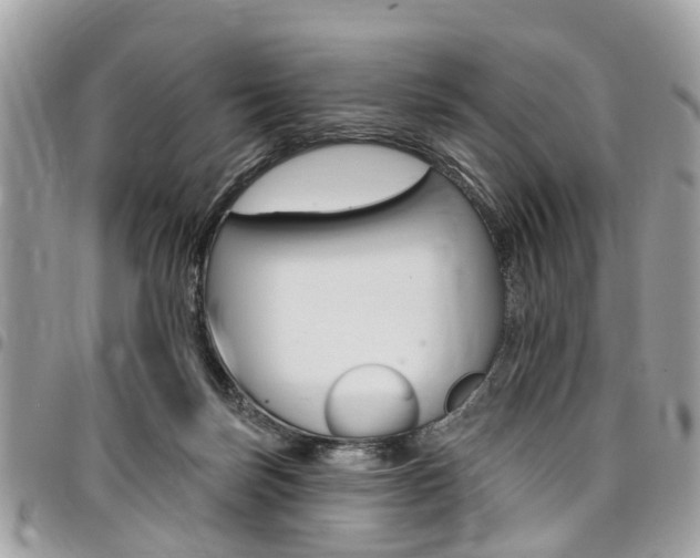 X0000096970171200802080931