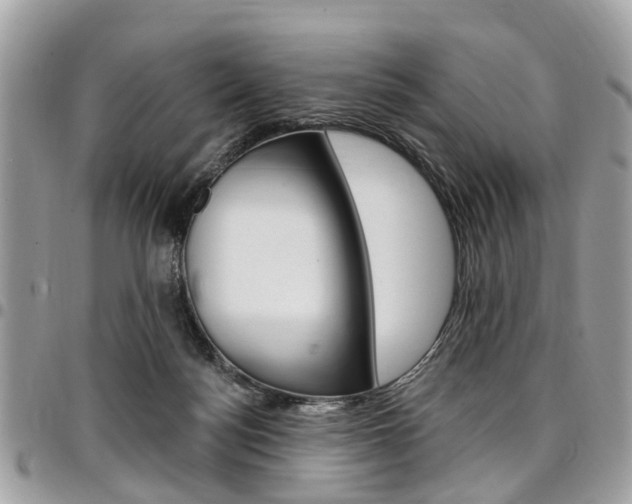 X0000096970172200802080931