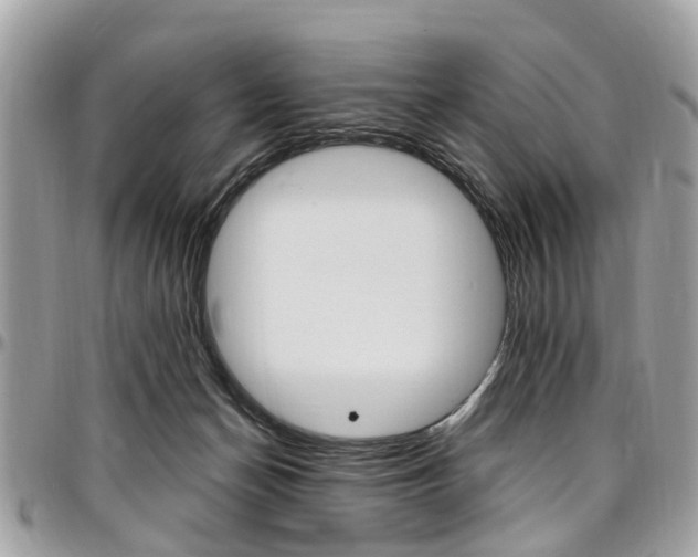 X0000096970174200802080932