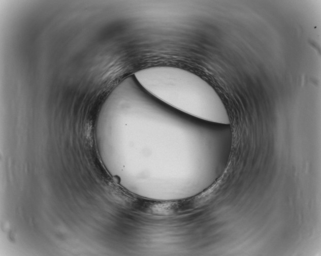 X0000096970178200802080932
