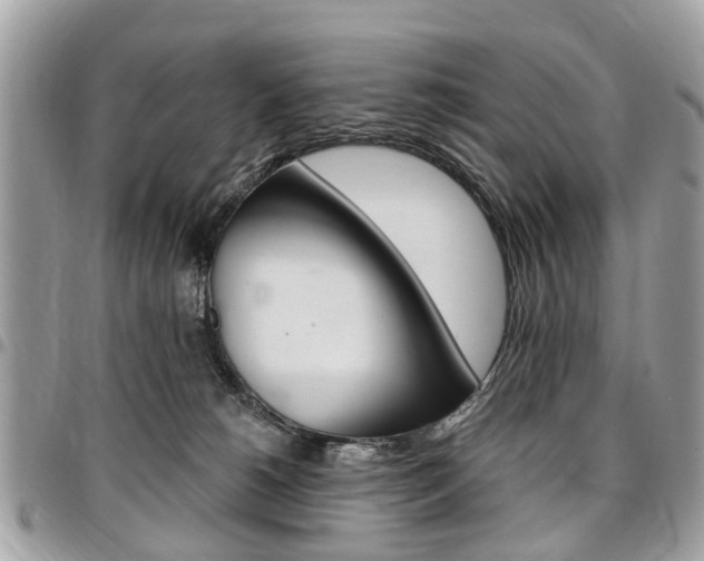 X0000096970180200802080932