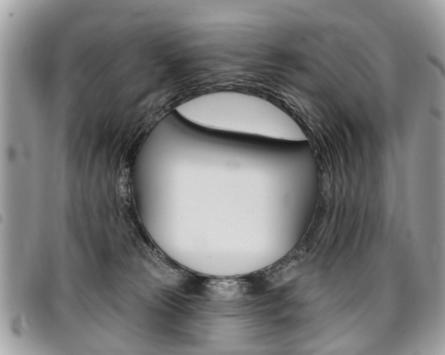 X0000096970181200802080932