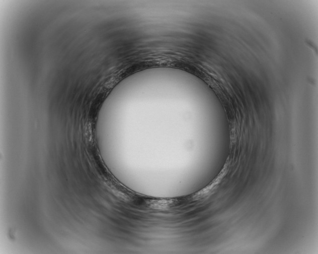 X0000096970182200802080932