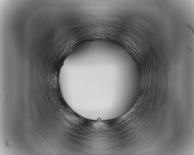 X0000096970183200802080932