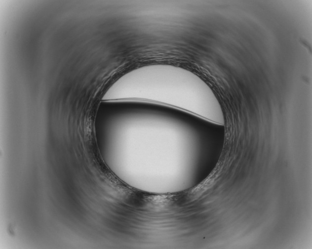 X0000096970184200802080932