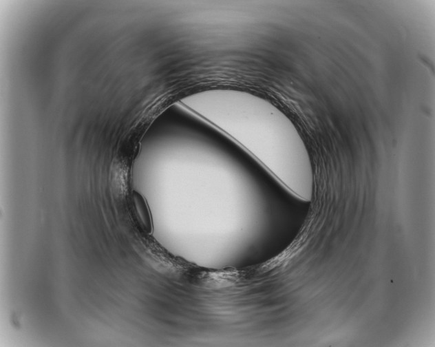 X0000096970188200802080932