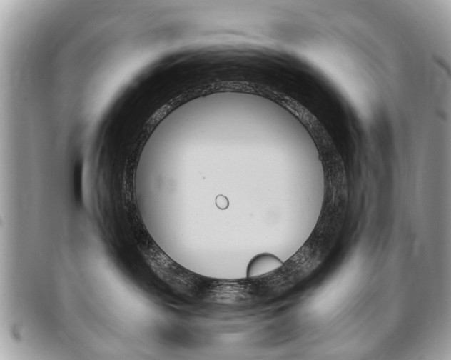 X0000096970189200802080932
