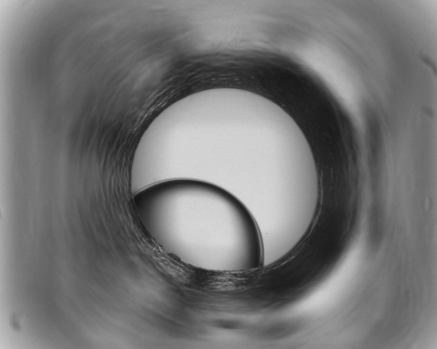 X0000096970190200802080932