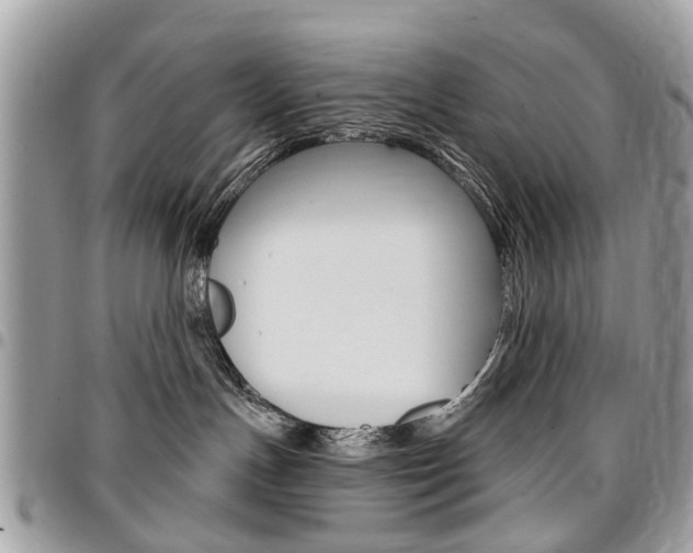 X0000096970191200802080932