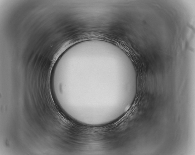 X0000096970195200802080931