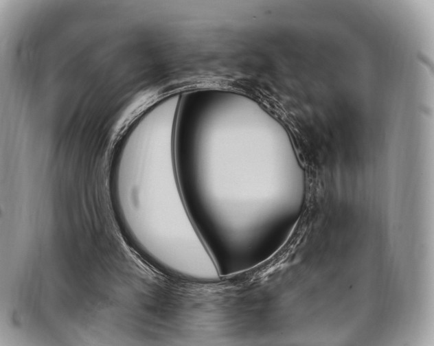 X0000096970197200802080931