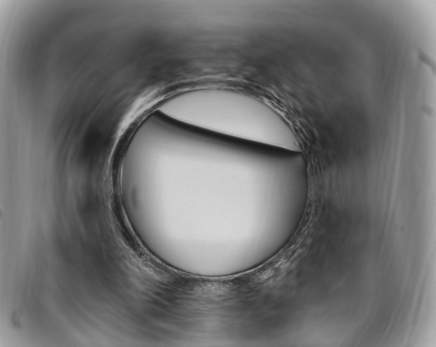 X0000096970198200802080931