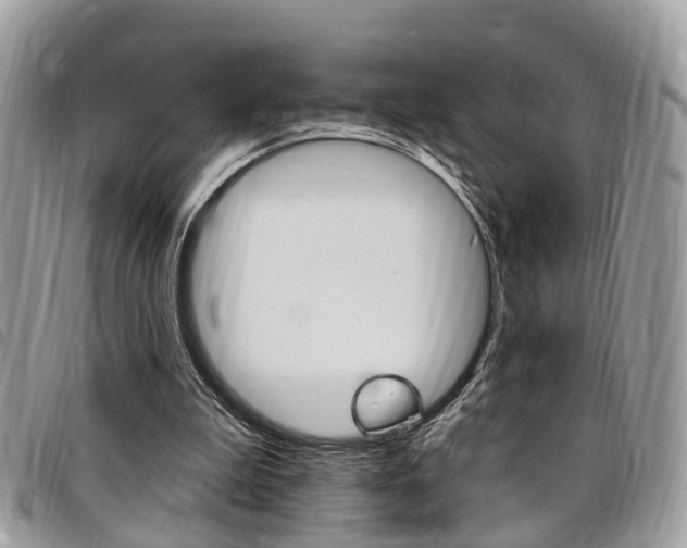 X0000096970199200802080931