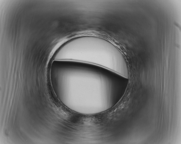 X0000096970200200802080931