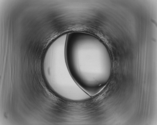 X0000096970201200802080931