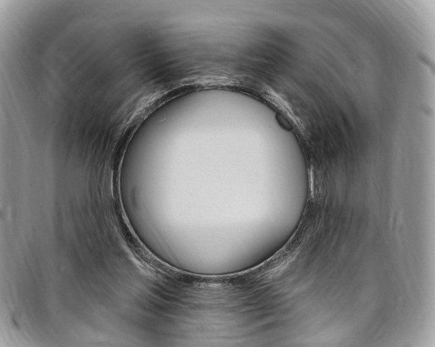 X0000096970205200802080931