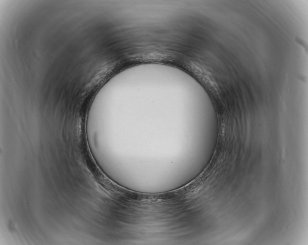 X0000096970206200802080931