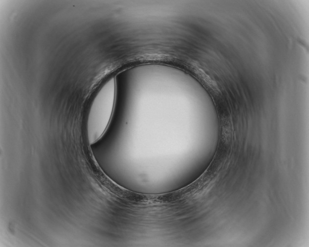 X0000096970207200802080931