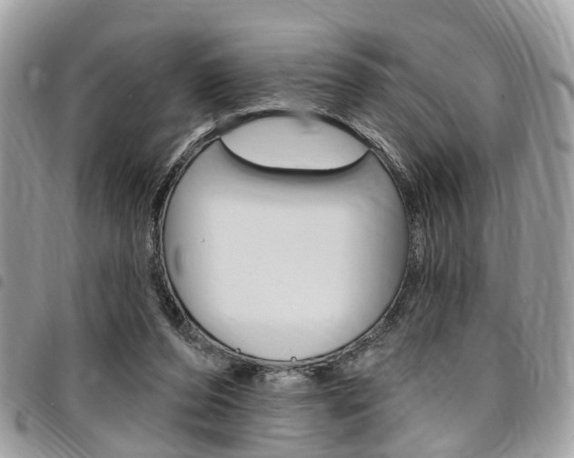 X0000096970208200802080931
