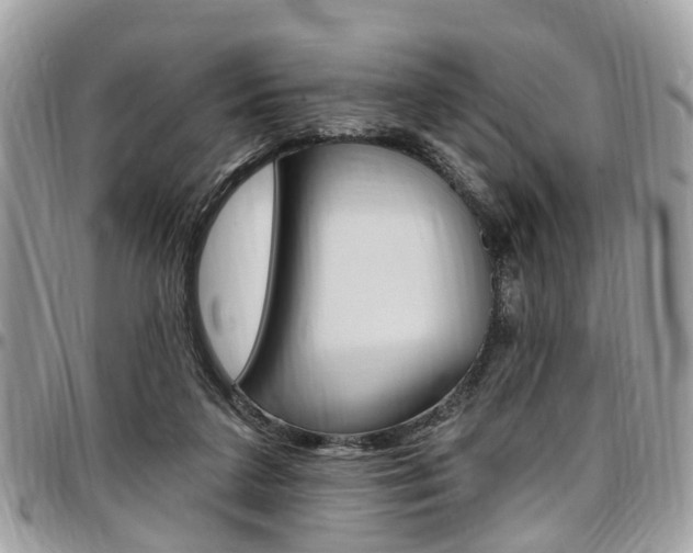 X0000096970211200802080931