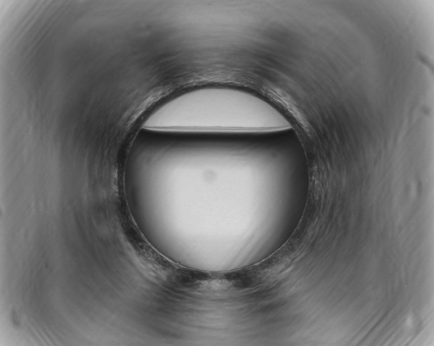 X0000096970212200802080931