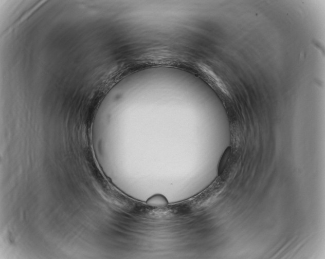 X0000096970213200802080931