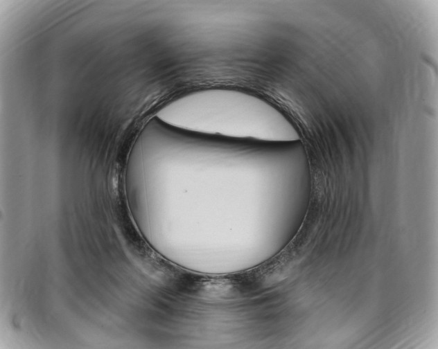 X0000096970214200802080931