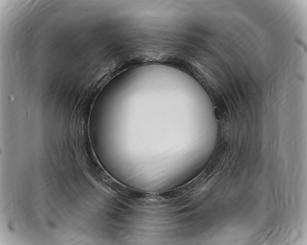 X0000096970215200802080931