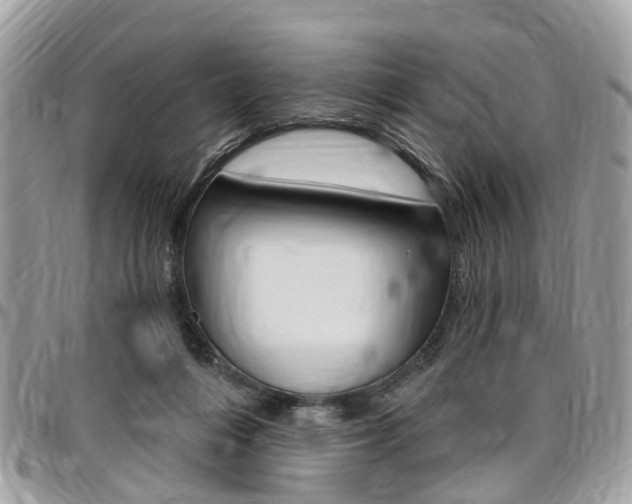 X0000096970216200802080931