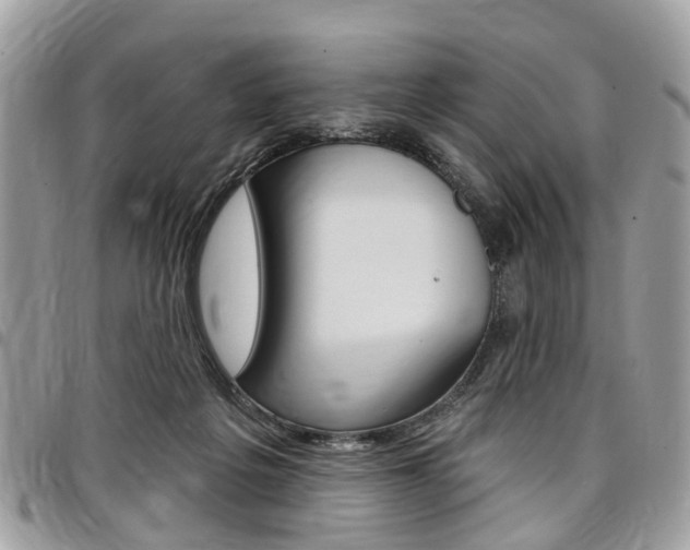 X0000096970217200802080931