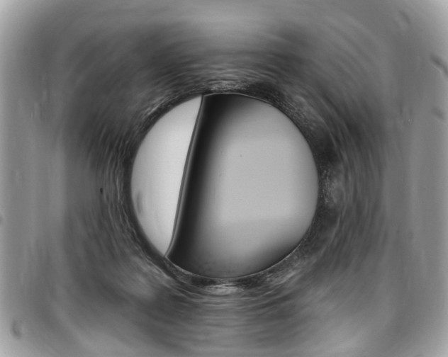 X0000096970219200802080931