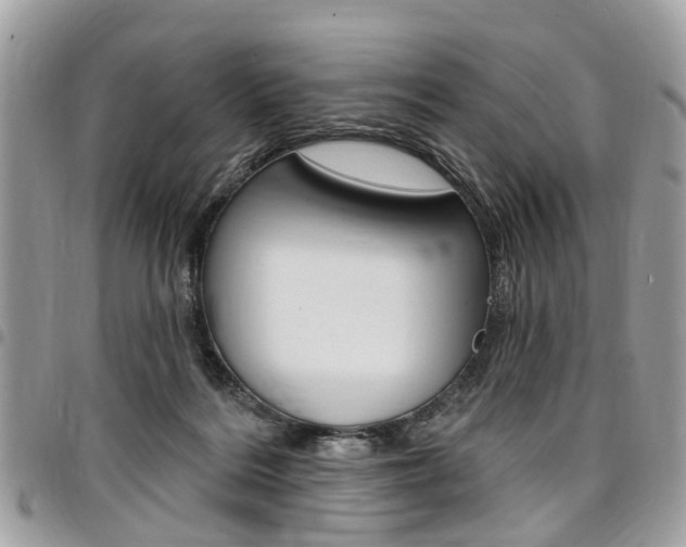 X0000096970220200802080931