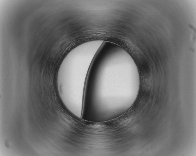 X0000096970221200802080931