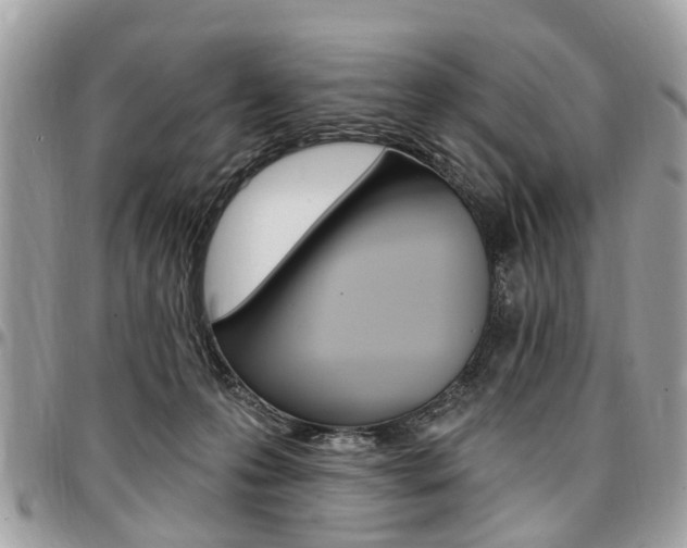 X0000096970223200802080931