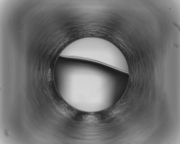 X0000096970224200802080931